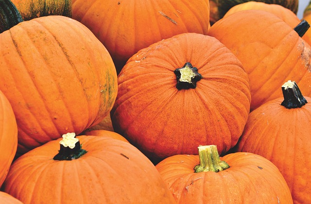 Can Pumpkins Survive Frost? A Complete Guide for Gardeners