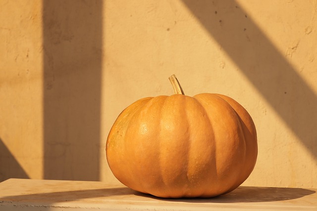 What Causes Pumpkins to Split Open?