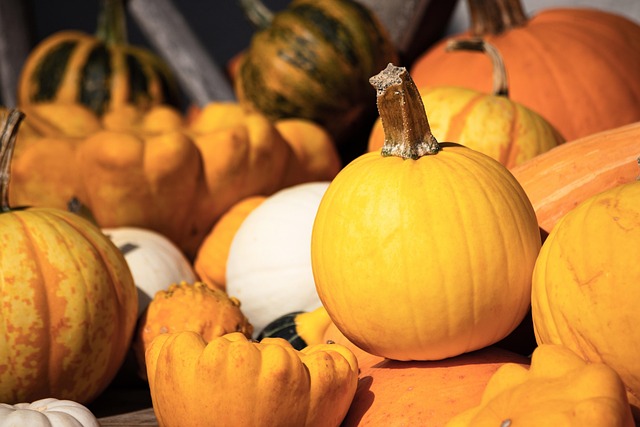 What Causes Pumpkins to Be Small?