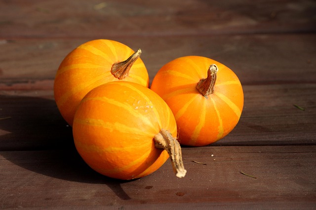 How Many Pumpkins Can One Plant Produce?