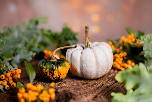 What Pests Commonly Attack Pumpkins?