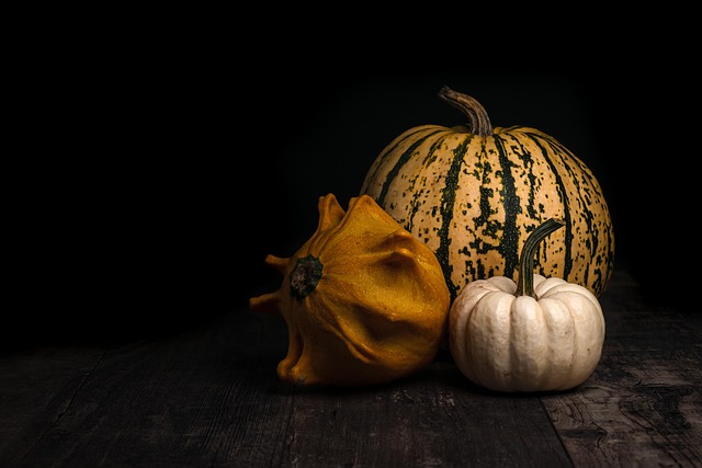 How Long Do Pumpkins Last After Harvesting?