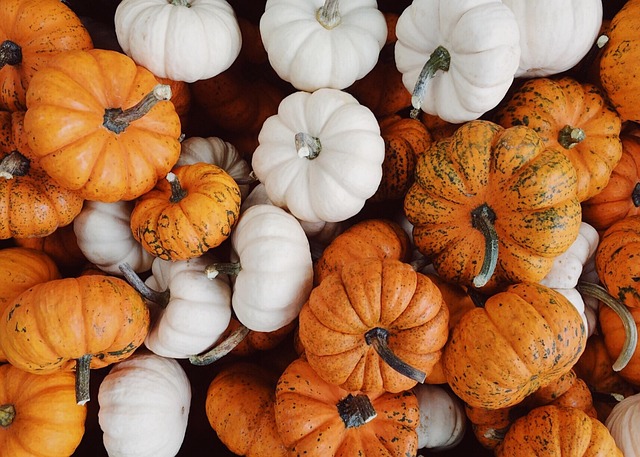How Deep Should You Plant Pumpkin Seeds?