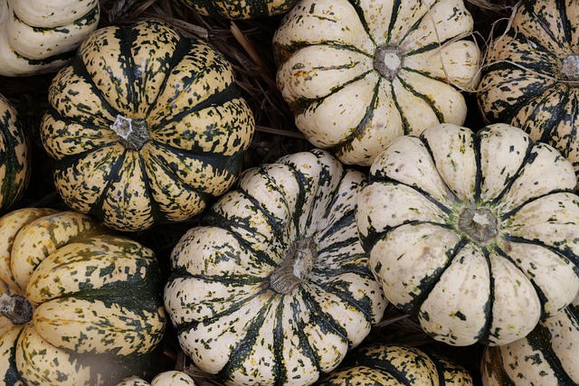 Can You Compost Pumpkin Vines?