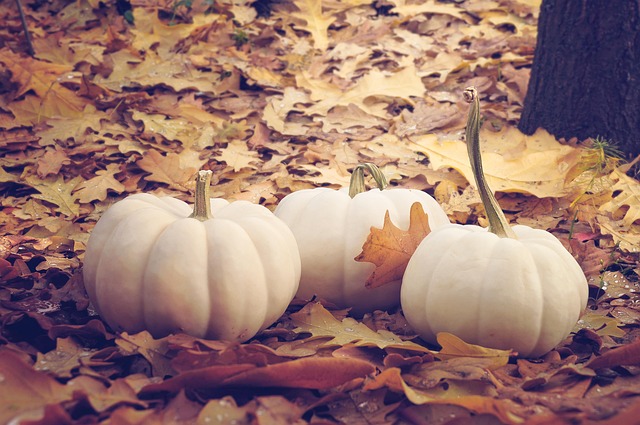 Can Pumpkins Cross-Pollinate With Squash?